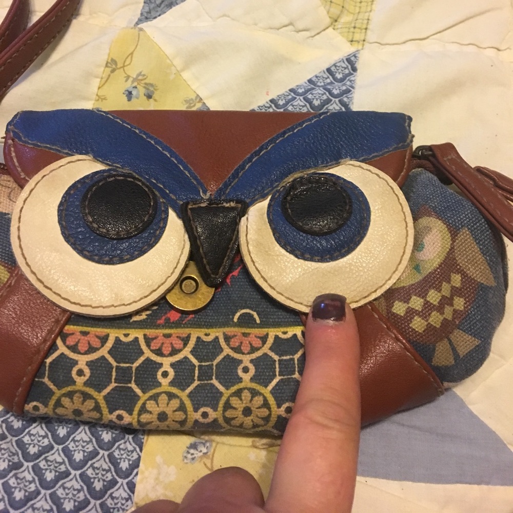 Owl eyes small med purse perfect for small purse